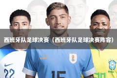 西班牙队足球决赛（西班牙队足球决赛阵容）