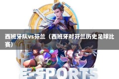 西班牙队vs芬兰（西班牙对芬兰历史足球比赛）