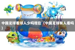 中国足球看球人少吗现在（中国足球有人看吗）