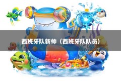 西班牙队新帅（西班牙队队员）