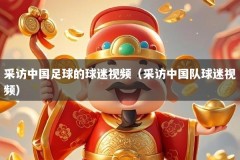 采访中国足球的球迷视频（采访中国队球迷视频）