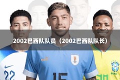 2002巴西队队员（2002巴西队队长）