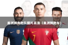 美洲狮奔跑队图片高清（美洲狮跑车）