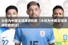 小伙为中国足球演讲致歉（小伙为中国足球演讲致歉的话）
