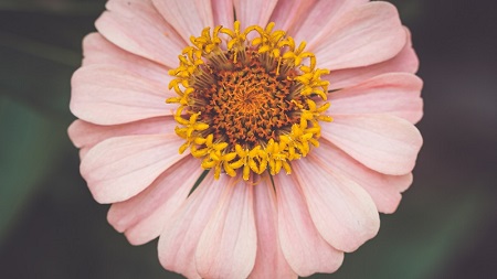 不惧风雪 徐梦桃勇者姿态迎接挑战