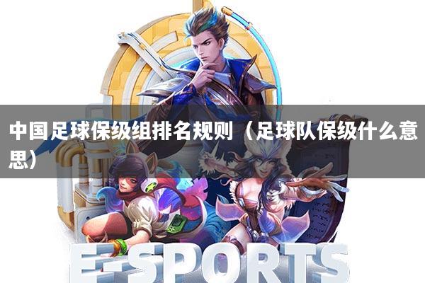 中国足球保级组排名规则(足球队保级什么意思)